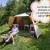 Camping la ferme aux cerisiers